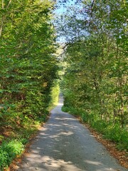 Waldweg