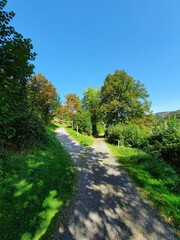 Waldweg