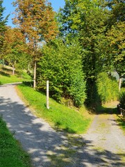 Wirtschaftsweg Gabelung