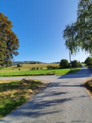 Wirtschaftsweg