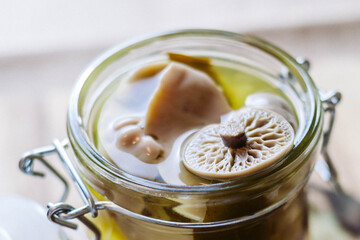 Pickled canned mushrooms in a jar on a cutting Board. Close up. Blurry background.