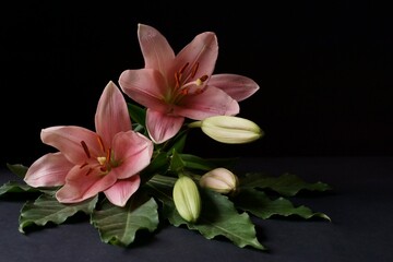 Background with pink lily flower, Lilium bulbiferum
