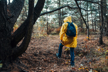 Solo hiking concept - forest survival - rainy day for hiking
