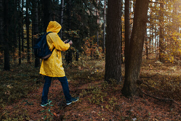 A man in a yellow raincoat in a cloudy dense forest in the rain is looking for a way using a mobile...