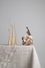 Modern still life, conceptual art: Root parsley, rock, dried flower and scotch tape on linen. Natural beige color