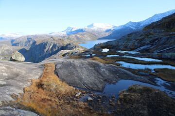 Obraz premium The beautiful and colourful landscape around Rago National park in the heart of Northern Norway