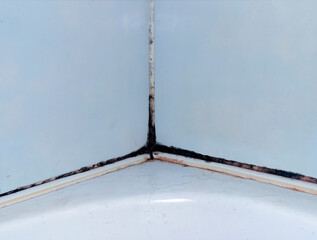 Dirty joints between the tiles in the bathroom. Toxic black mold in the corner of the bathroom before cleaning.