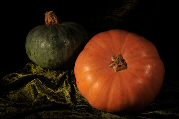autumn vegetables on black background