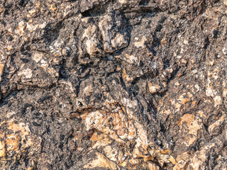 Dark gray stone with orange-yellow interspersed for background.