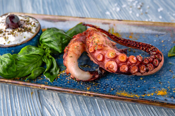 Grilled octopus with sauce and basil. Natural delicious food. Greek cuisine menu. Still life in a marine style on a blue background.