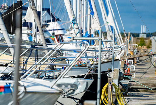 Bows of sail boats docked in a marina in the summer. Shallow depth of field.