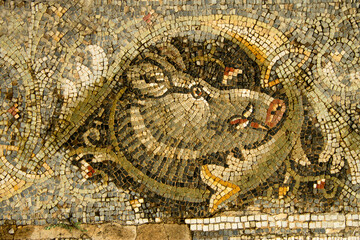 Mosaic inside of ancient town in Bulla Regia, Tunisia. Antic Roman ruins