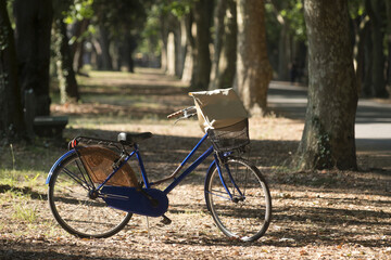 Fototapeta na wymiar bicicletta nel parco
