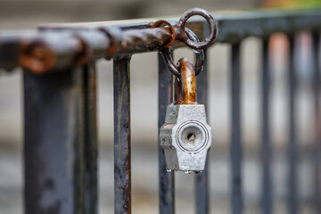 Rusty padlock on the door. Closed old locked gate. Closed lock on the grating fence