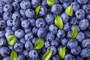 Fresh blueberry background. Blueberry Texture Close Blueberry Antioxidant Organic Superpeed Bowl Concept Healthy Nutrition