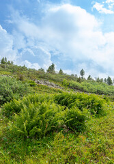 Fototapeta na wymiar Beautiful mountain landscape in the Republic of Khakassia. Eastern Siberia, Russia