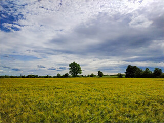 Gerstenfeld