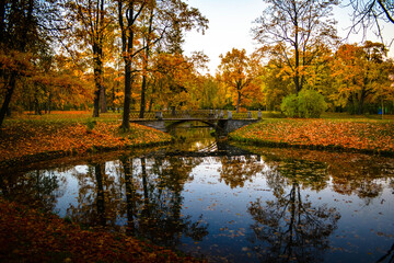 Fototapeta na wymiar autumn in the Park of Pushkin