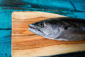 fresh raw tunny fish on blue old table