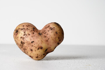 Abnormal potato in shape of heart on white concrete background. Concept love organic natural homegrown ugly vegetables. Close up. Copy space. - obrazy, fototapety, plakaty