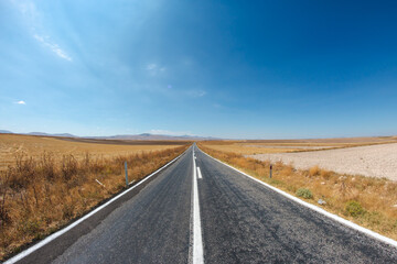 Fototapeta na wymiar asphalt road with dried grass and blue sky. a long way to travel.