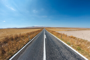 Fototapeta premium asphalt road with dried grass and blue sky. a long way to travel.