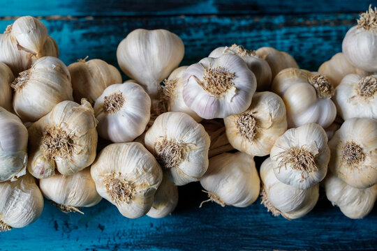 garlic bunch on a blue wooden table