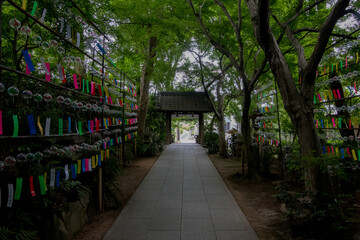 お寺と風鈴