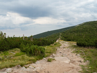 Fototapeta na wymiar Empty mountain trail. Karkonosze National Park