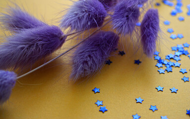 Purple dry Lagurus ovatus bunch on a gold background with a lot of blue glitter confetti stars. Backdrop.