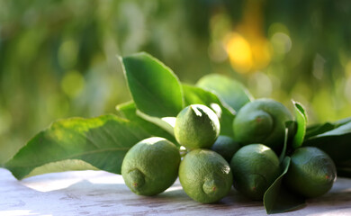 green lemons and leaves on table