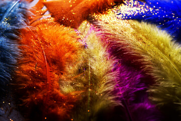 Orange, blue and purple feathers with sparkles and soft focus foreground and background.