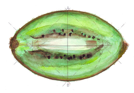&Oacute;valo 2 eje - Kiwi - acuarela