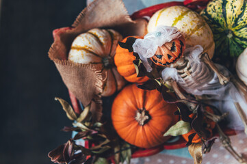 Different types of pumpkins and decorations in the box. Skeleton with pumpkin head in bridal oufit