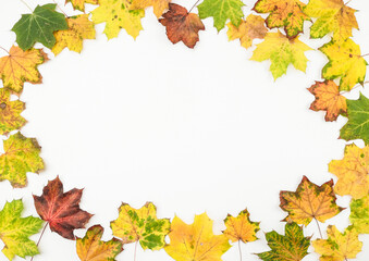 Naklejka na ściany i meble autumn leaves frame on white. Autumn frame made of colorful maple leaves on white with place for text, top view.