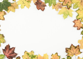 Autumn frame on white..
Autumn frame made of pale maple leaves on white with place for text, top view.