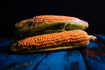 raw fresh corns on blue table