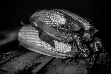 raw fresh corns black and white