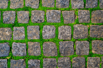 Stone or rock old road covered by green moss and grass texture background