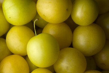 7 - Yellow mirabelle plums make up a full frame home grown background