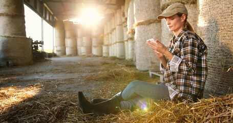 Caucasian young beautiful woman siting on hay in shed, resting and texting message on smartphone. Indoor. Pretty female farmer having rest, tapping and scrolling on mobile phone. Village concept.