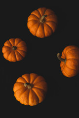 Pumpkin macro close up selective focus