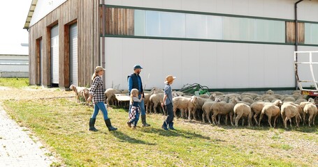 Caucasian farmers, parents with small children working at farm and taking care of sheep flock. Outdoor. Mother, father, son and daughter watching animals at pasture. Kids with parents. Shepherds. © VAKSMANV