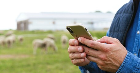 Close up of male Caucasian hands holding and texing message on smartpphone outdoor. Sheep at...
