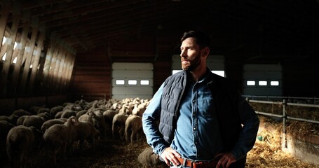 Portrait of handsome Caucasian man farmer standing in stable with flock of sheep and looking at side in window on sunlight. Farming animals. In shades. Man shepherd in barn.