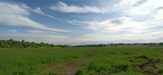 Obraz premium field and sky