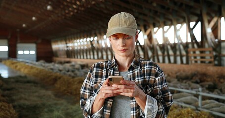 Young Caucasian woman using smartphone and working in farm stable. Female farmer tapping and...