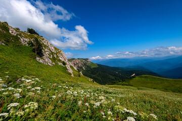 Beatiful mountain meadow with endless blue sky and clouds