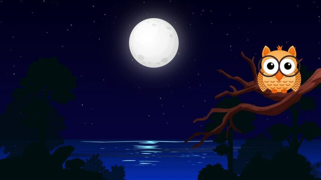 cute owl on a twig in a starry night, moonlight on the sea animation background loop