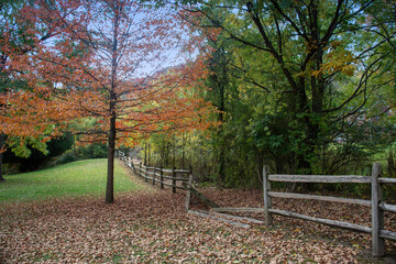 path in park